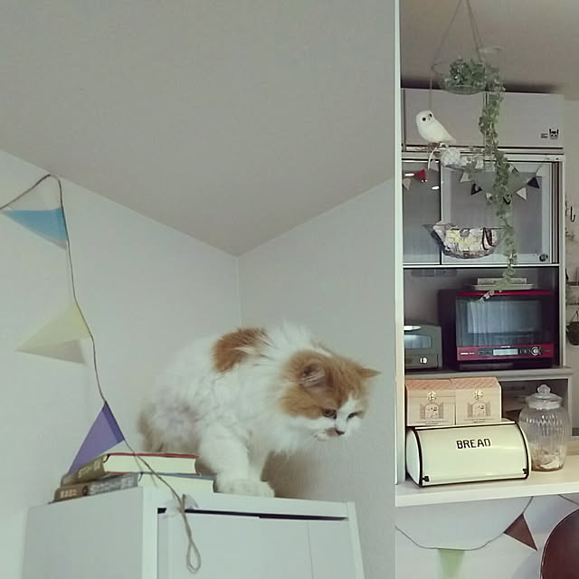 nonkoさんの実例写真