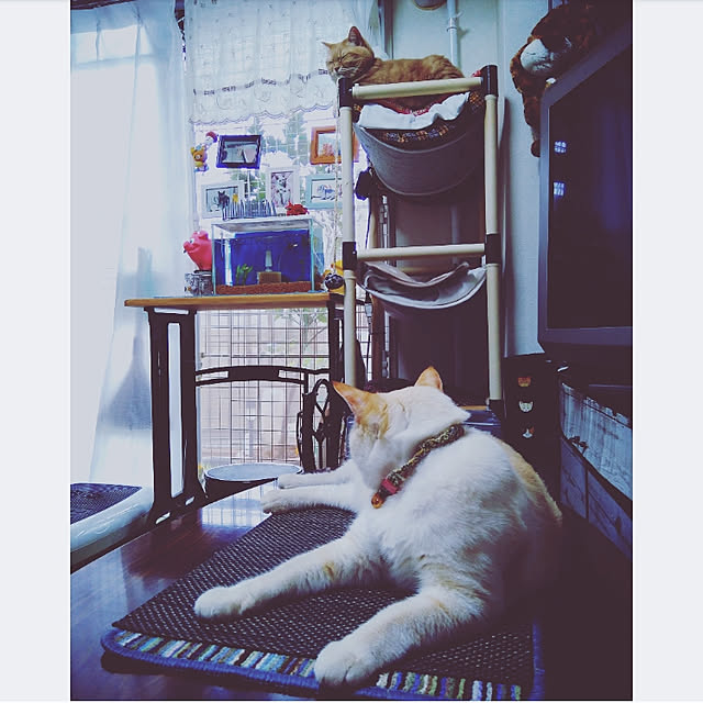 mntcさんの実例写真