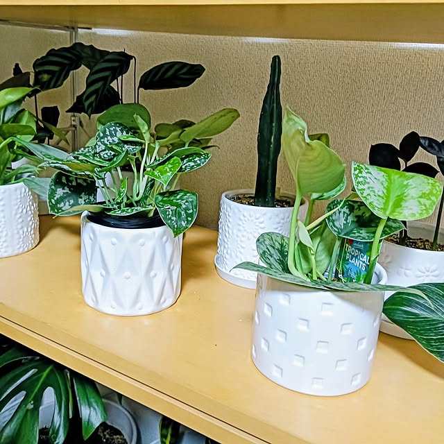 hanachanさんの部屋