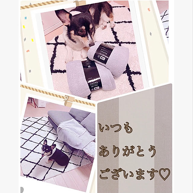 Ruiさんの実例写真