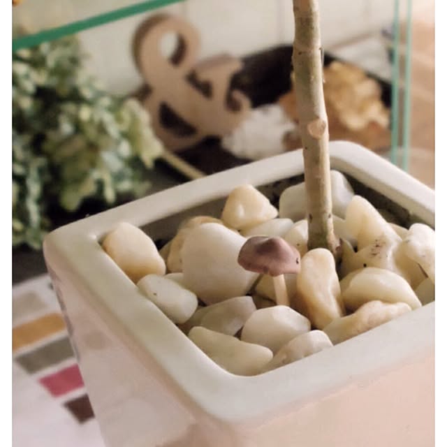 mooさんの実例写真