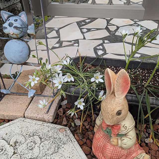 machikomamaさんの部屋