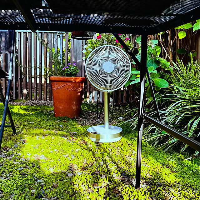 chacoさんの部屋