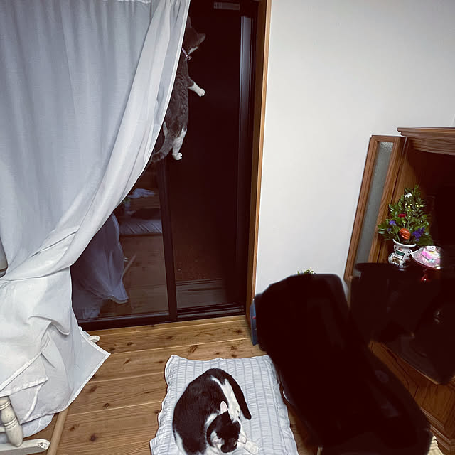 nekosamaさんの実例写真