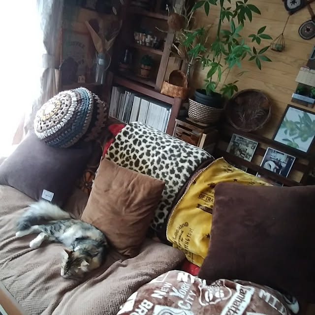 実例写真