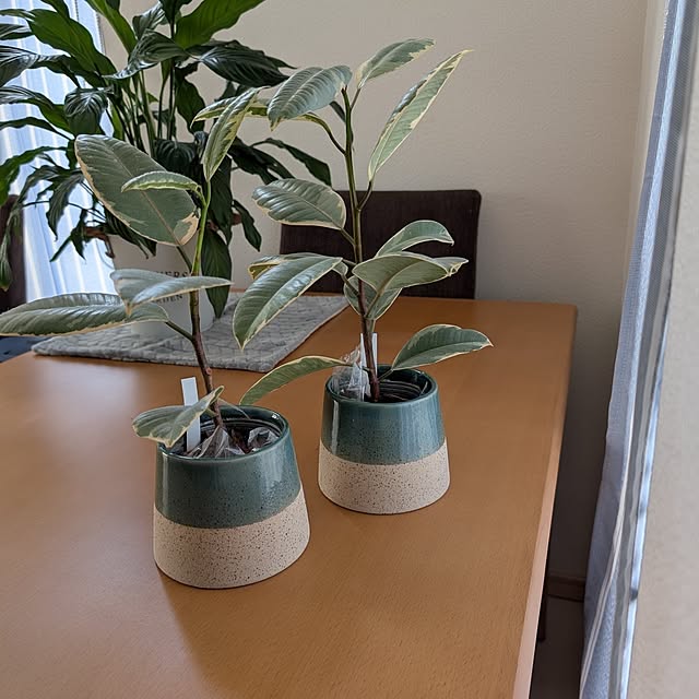 KOHAKUさんの部屋