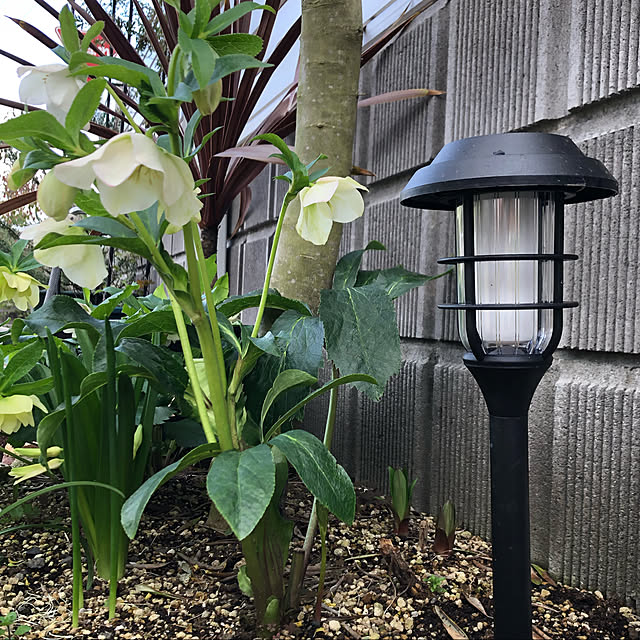 nanachanmamaさんの実例写真