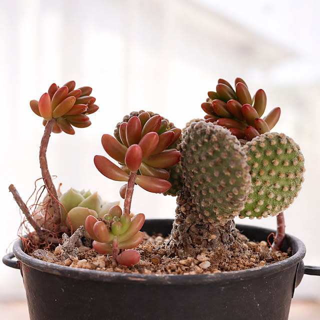 candy7ramさんの部屋