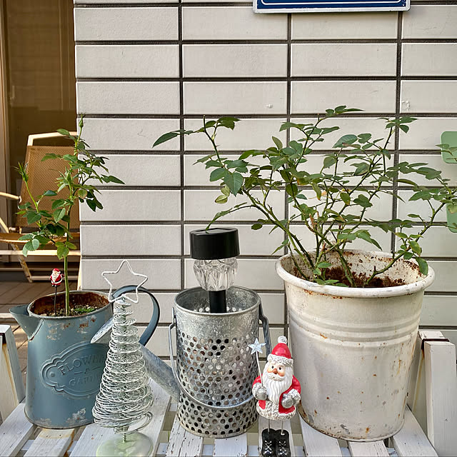 YuuKoさんの実例写真