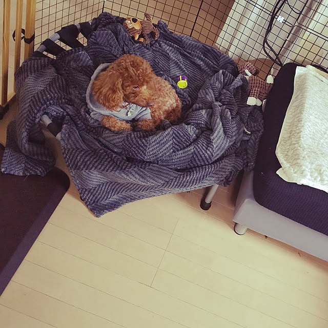 muzuさんの実例写真