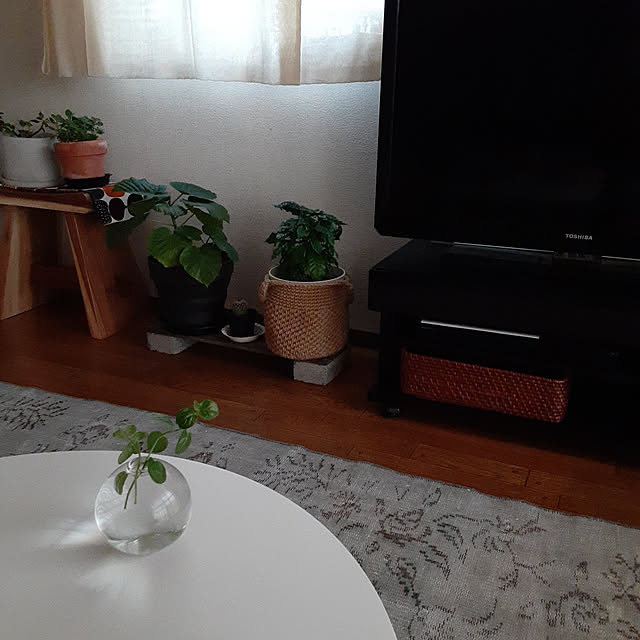 ririeeさんの実例写真