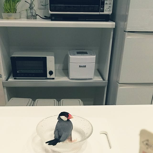 pitaさんの実例写真