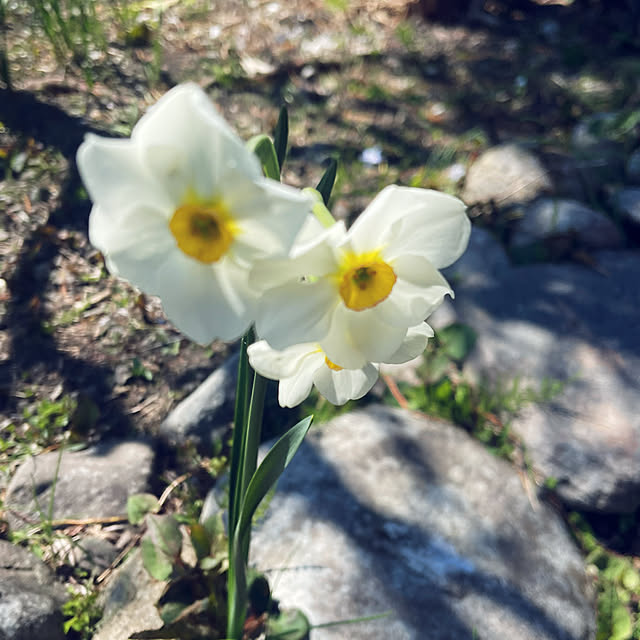 mamanさんの部屋