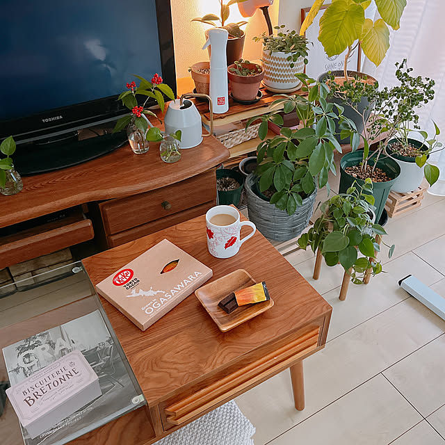 mikiteacupさんの実例写真