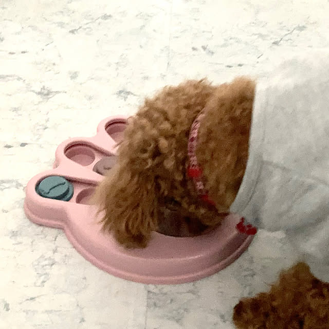MOMOMAMAさんの部屋