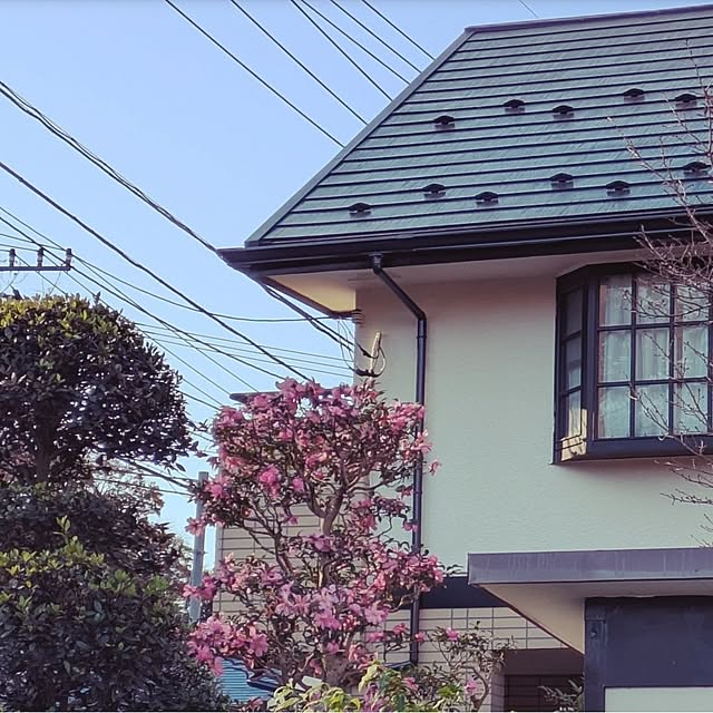 ku-garnet18さんの実例写真