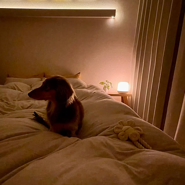 rinoさんの部屋