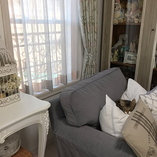 yuchiさんの実例写真