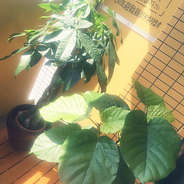tatsuさんの実例写真