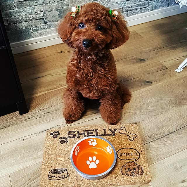 shellyさんの実例写真