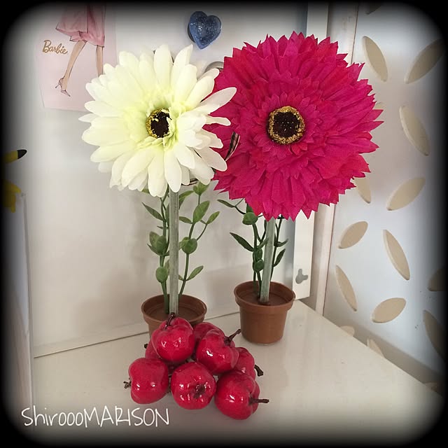 ShiroooMARISONさんの実例写真