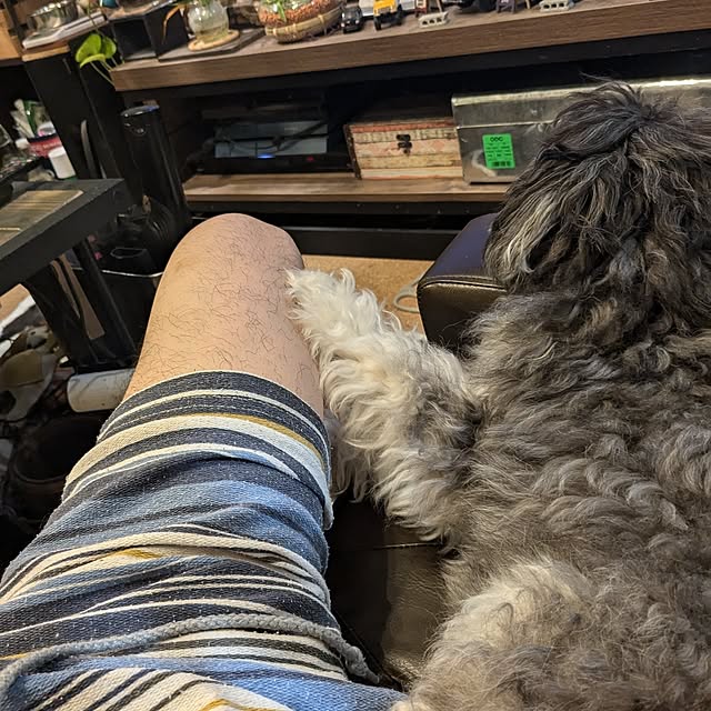 GINさんの部屋