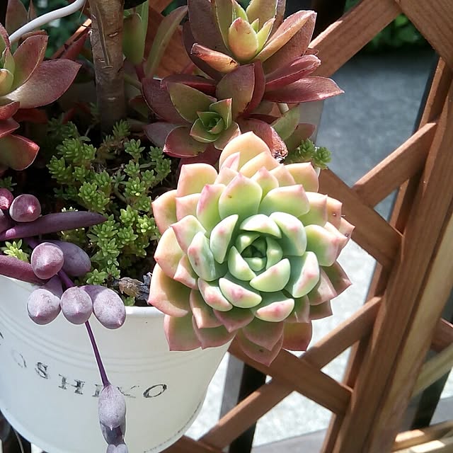 VERANDARJUNさんの実例写真