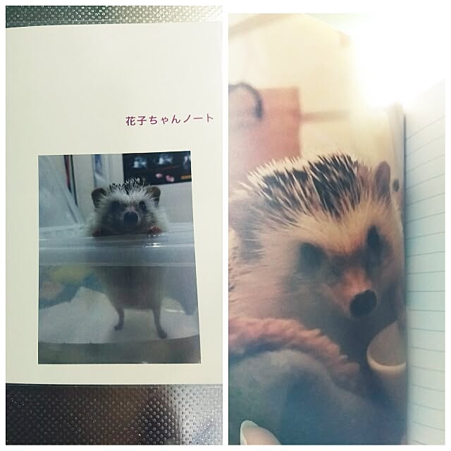 kuruさんの実例写真