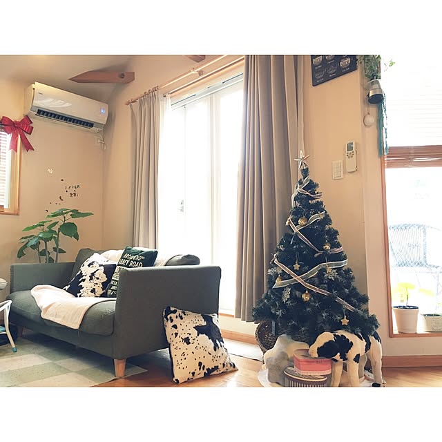 makoriさんの実例写真