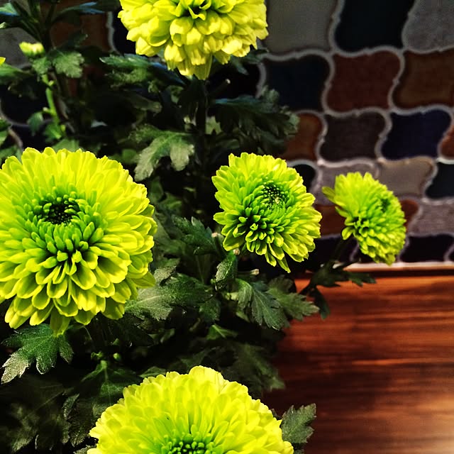 dream-cafeさんの実例写真