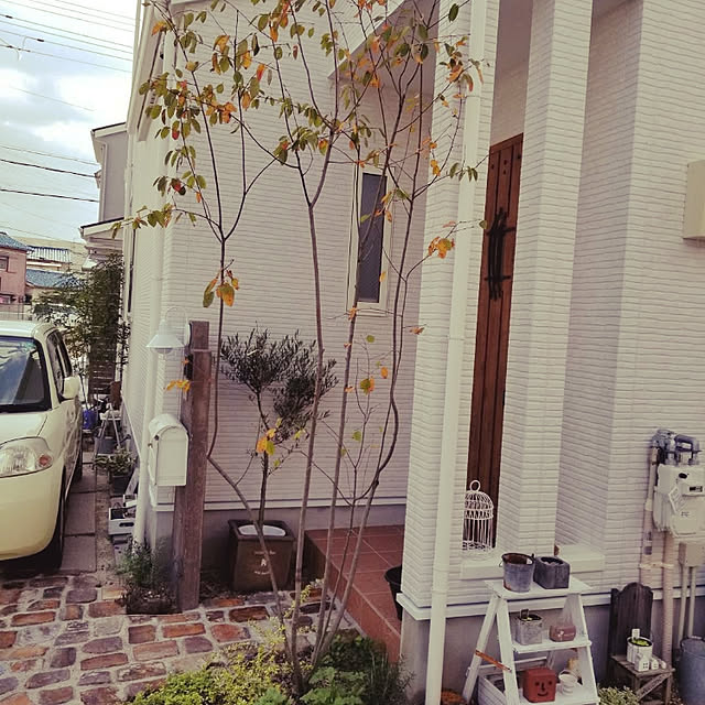 oshinkoさんの実例写真