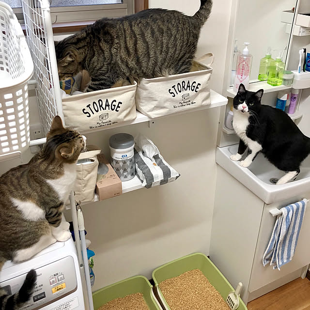 muuuuuさんの実例写真