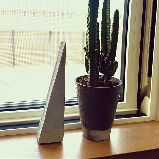 japitonさんの実例写真