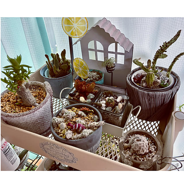 CoCo0617さんの部屋
