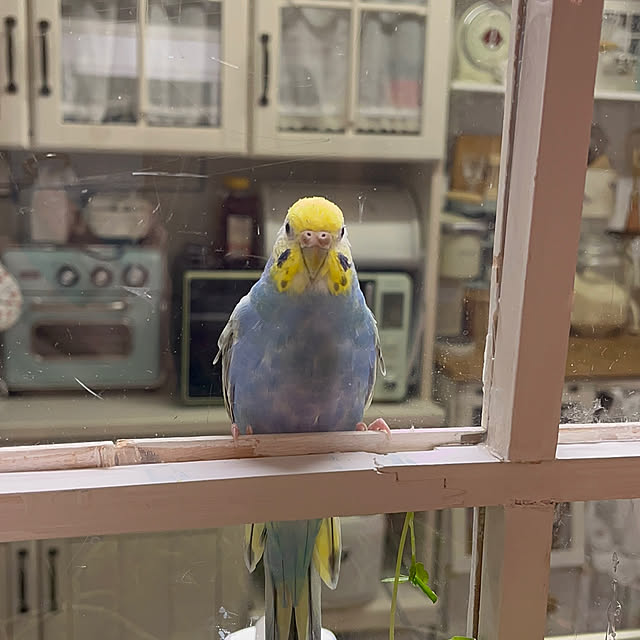 Atsukoさんの部屋