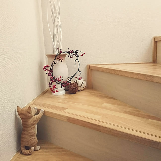maruchapさんの実例写真