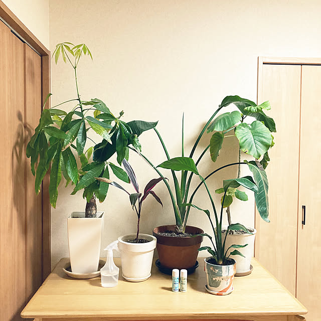 1546さんの実例写真