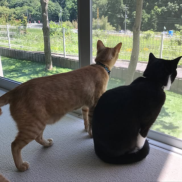 mtkさんの実例写真