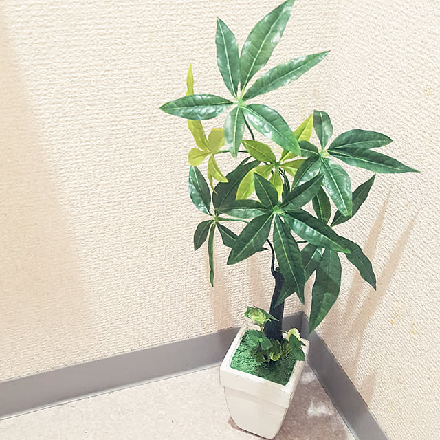 guricoさんの実例写真