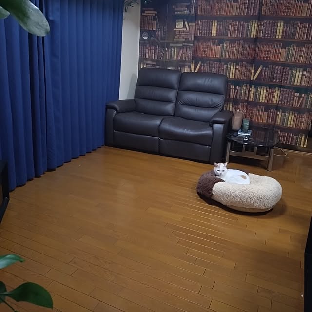 NOAHさんの実例写真
