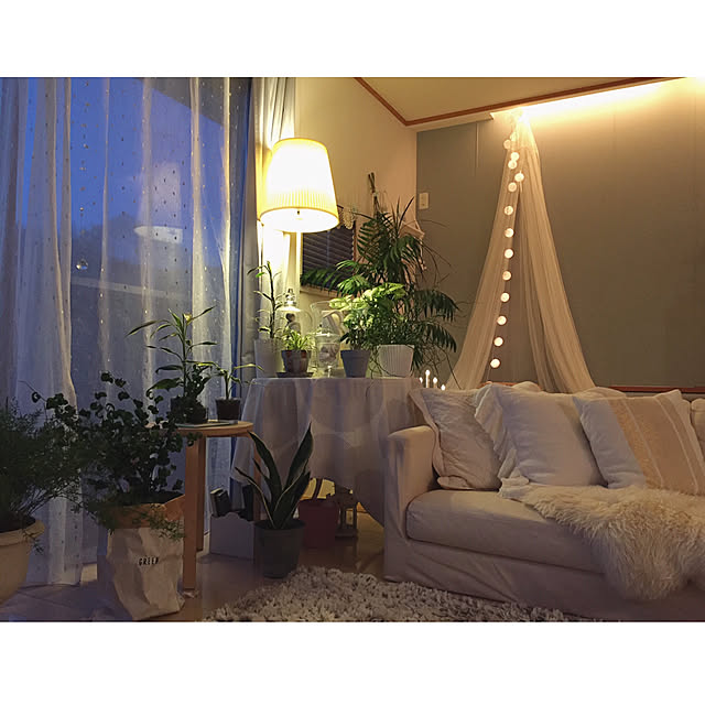 DailyRoomclip