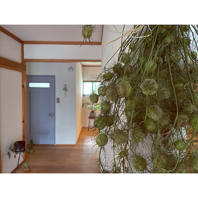 marucoさんの部屋