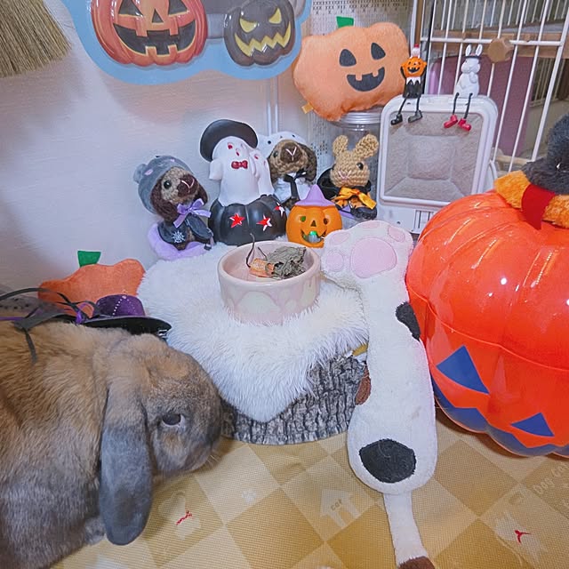 mariaさんの部屋