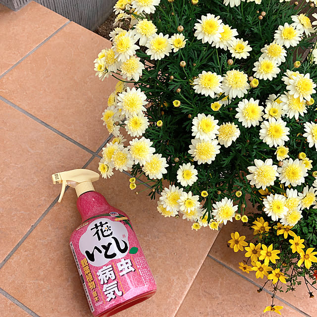 kaorikoさんの実例写真
