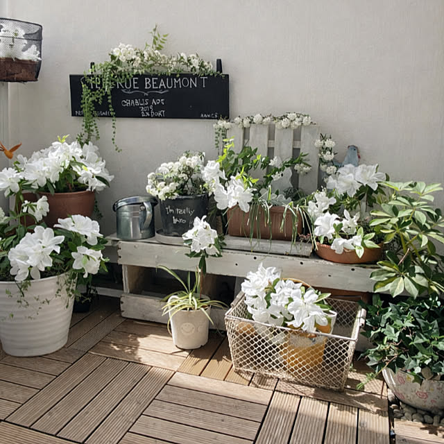 mamiさんの実例写真