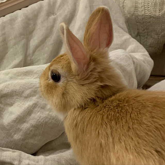 rubeさんの実例写真