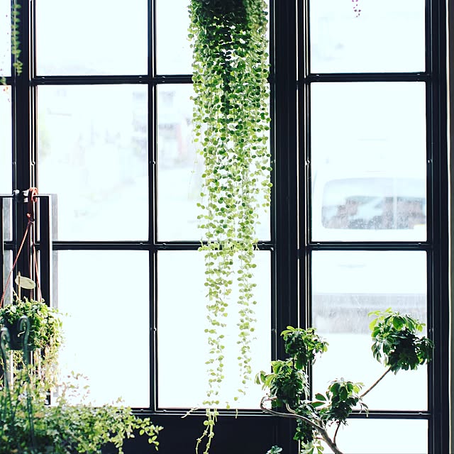 Junk_sweet_Garden_teftefさんの実例写真