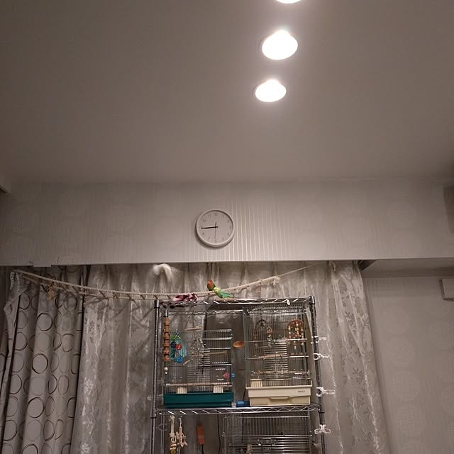toratanさんの実例写真