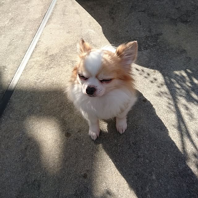 porinさんの実例写真