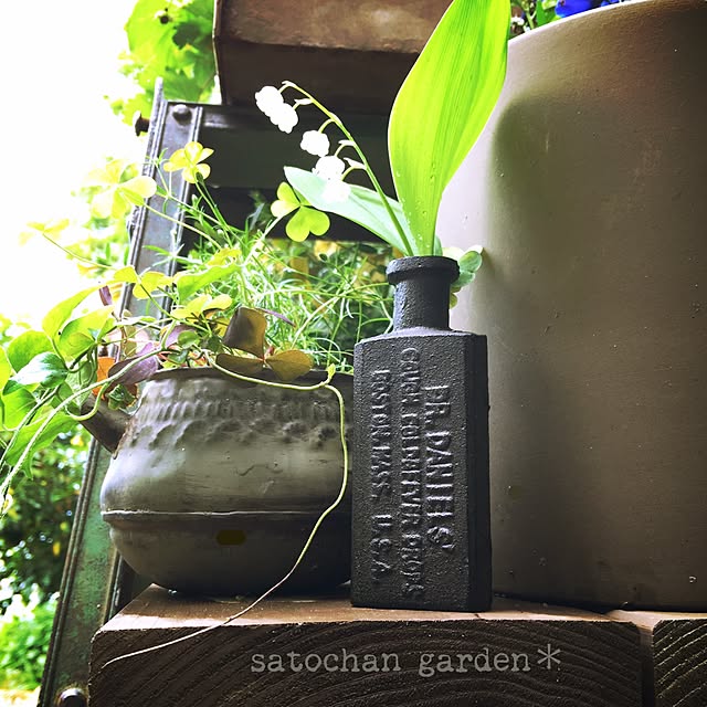 satochanさんの実例写真